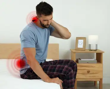 Algoloji Nedir?